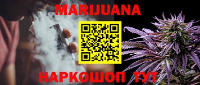 сатива Камышлов