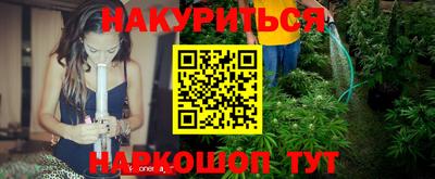 сатива Камышлов