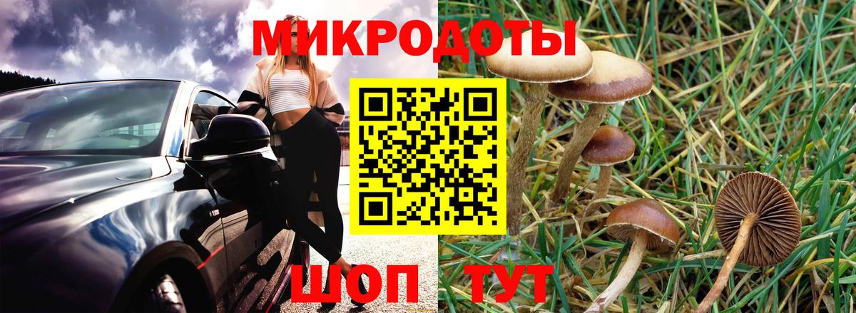 Псилоцибиновые грибы Psilocybine cubensis Мегион