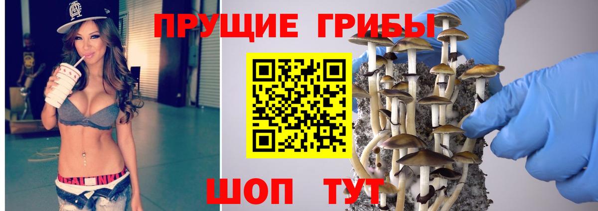 Мегион  Псилоцибиновые грибы Psilocybine cubensis  Вход с VPN 